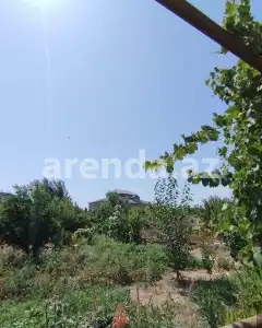 Torpaq sahəsi Satılır