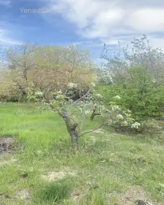 Torpaq sahəsi Satılır