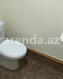 Həyət/Bağ Evi, Villa Kirayə verilir