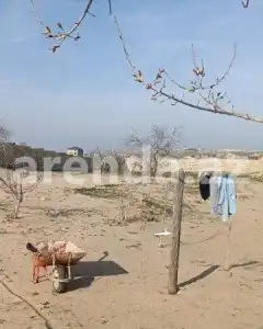 Torpaq sahəsi Satılır