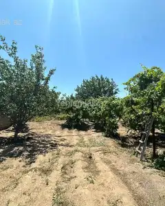 Torpaq sahəsi Satılır