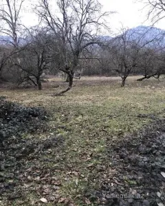 Arsa Satılık