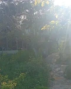 Müstakil Ev, Villa Satılık