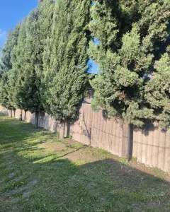 Müstakil Ev, Villa Satılık