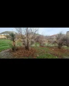7 sot torpaq sahəsi, Novxanı qəs...