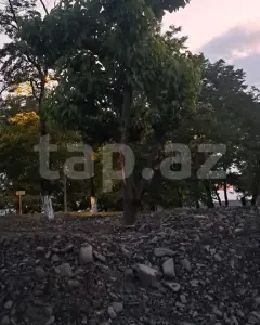 Diğer Ticari Satılık