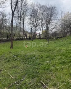 4 sot torpaq sahəsi, Qusar r.