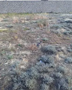 Arsa Satılık