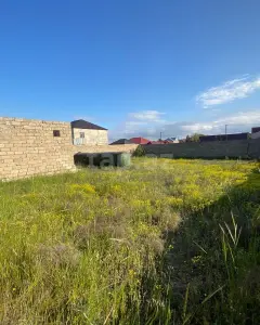 5 sot torpaq sahəsi, Zirə Dübən...