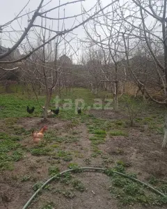 8 sot torpaq sahəsi, Quba r.