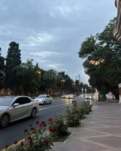 Daire Kiralık