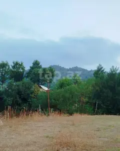 Arsa Kiralık