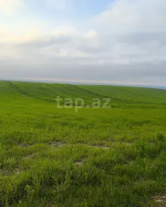 Arsa Satılık