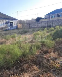 9 sot torpaq sahəsi, Hökməli qə...