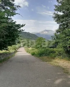 Arsa Satılık