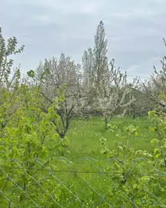 Arsa Satılık