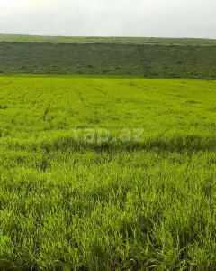 105 sot torpaq sahəsi, Qusar r.