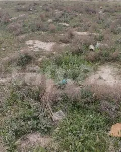 Arsa Satılık