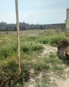 6 sot torpaq sahəsi, Türkan qəs.