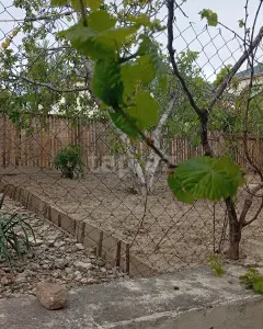 Müstakil Ev, Villa Satılık