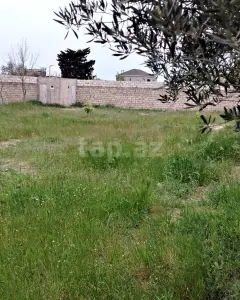 Arsa Satılık