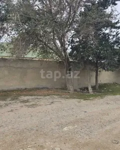 100 sot torpaq sahəsi, Buzovna qə...