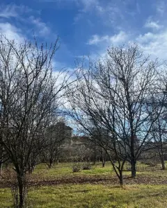Arsa Satılık