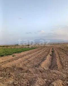 Arsa Kiralık
