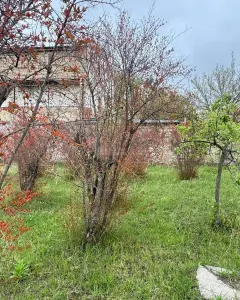 Arsa Satılık