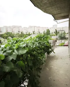 Müstakil Ev, Villa Kiralık