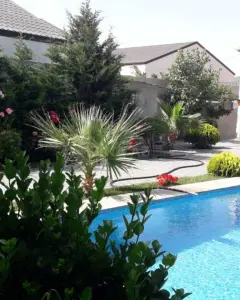 Müstakil Ev, Villa Kiralık