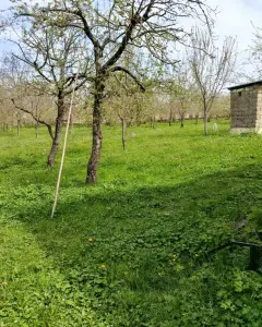 Arsa Satılık