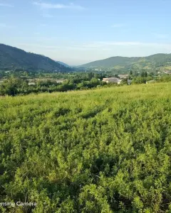 Arsa Satılık