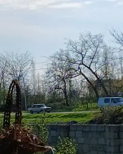 8 sot torpaq sahəsi, Qusar r.