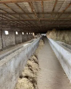 Diğer Ticari Kiralık