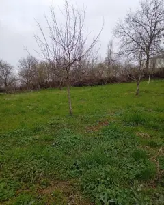 Arsa Satılık
