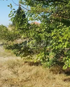 Arsa Satılık