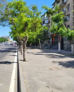 Diğer Ticari Kiralık