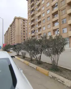 Daire Satılık