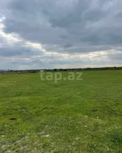 20 sot torpaq sahəsi, Balakən r.
