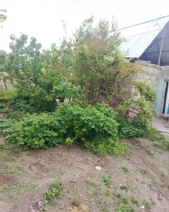 Arsa Satılık