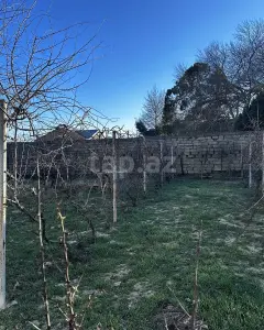 5 sot torpaq sahəsi, Görədil qə...