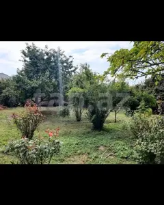 6 sot torpaq sahəsi, İsmayıllı ...