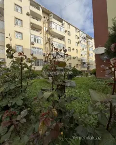 Daire Satılık