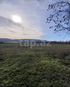 282 sot torpaq sahəsi, Quba r.
