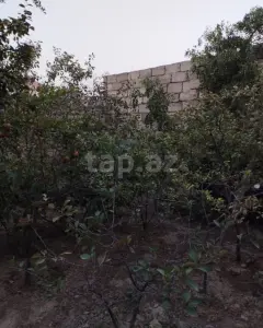 Müstakil Ev, Villa Satılık