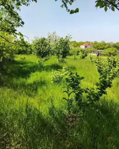 Arsa Satılık