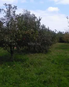Arsa Satılık