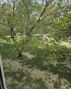 Diğer Ticari Kiralık