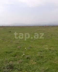 3000 sot torpaq sahəsi, Şabran r.